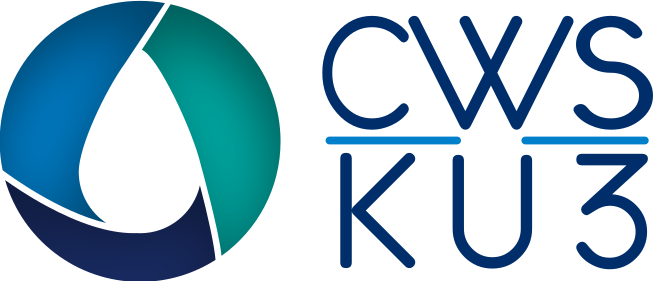 CWS Logo